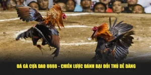 đá gà cựa dao ảnh đại diện
