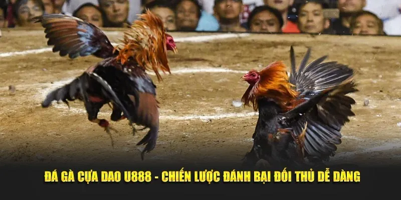 đá gà cựa dao ảnh đại diện