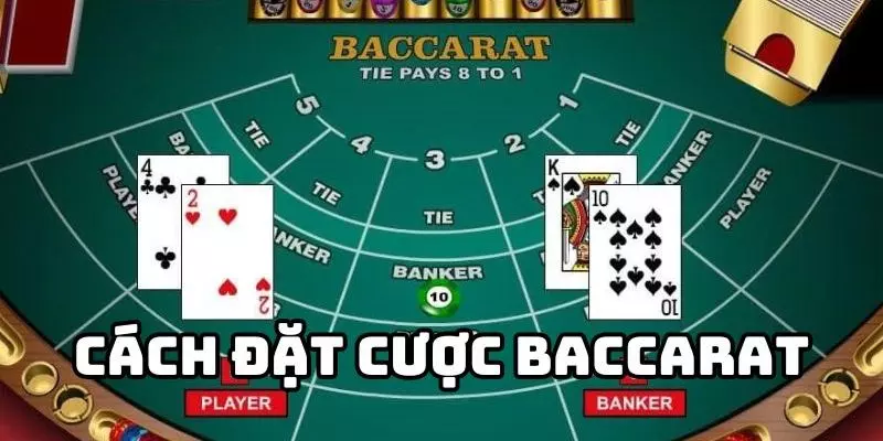 Luật thi đấu Baccarat tân thủ nên tham khảo 