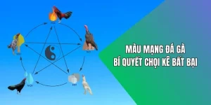 màu mạng đá gà ảnh đại diện